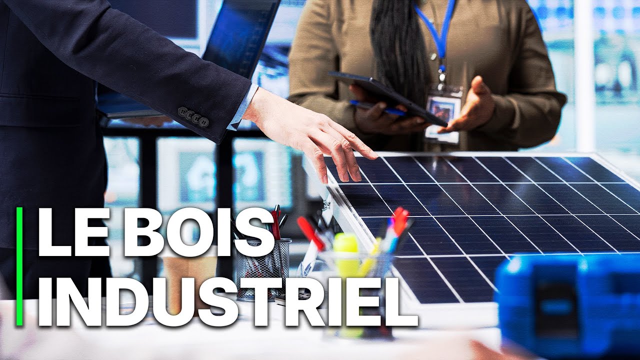 Semer le vent, récolter le pactole | Transition énergétique