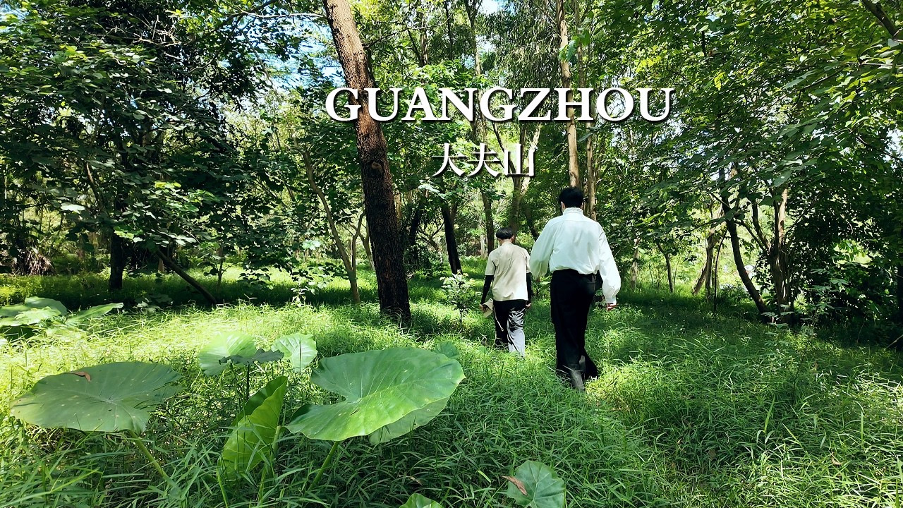 Escaping the Noise: Solo Forest Walk in Guangzhou, China | China Travel Vlog