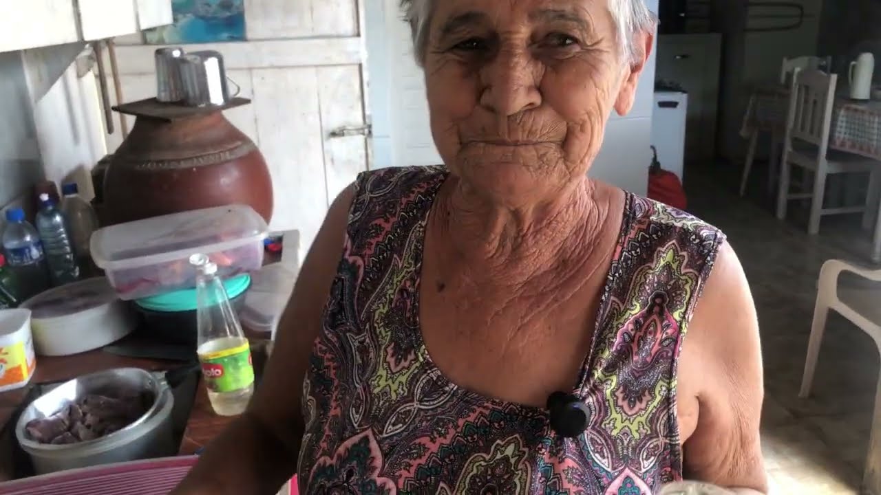 GABRIEL VIAJOU PARA BOM CONSELHOS E TROUXE CARNE DE BOI + IRINEU FOI COMPRAR AS VERDURAS NA FEIRA 