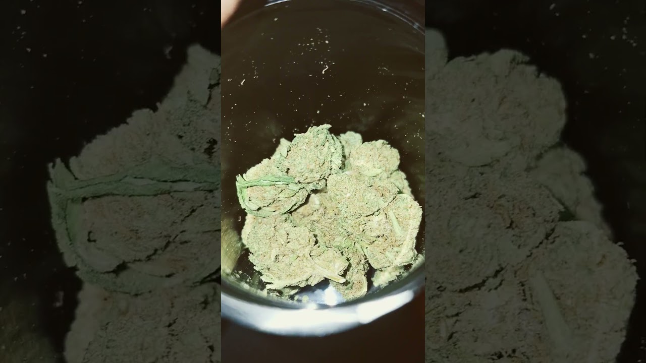 gLeaf Painkiller XL REVIEW GOODNESS GRACIOUS  😍😤