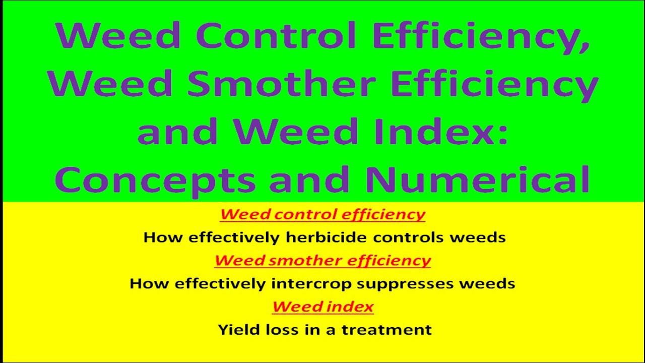 Weed Control Efficiency, Weed Smother Efficiency and Weed Index: Concept and Numerical