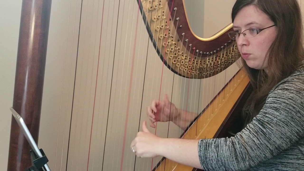 Safe and Sound - Taylor Swift Harp cover by Houston Harp Music