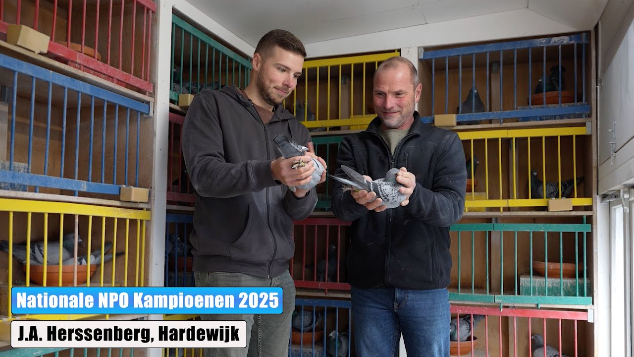 Nationaal Kampioen Midfond Aangewezen | NPO | J.A. Herssenberg (Harderwijk)