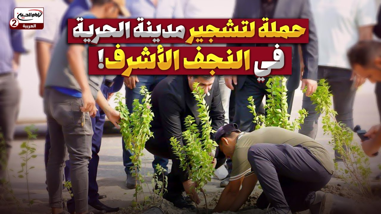 شباب ناحية الحرية في النجف الأشرف ينظمون حملة لتشجيرِ مدينتِهم بالتزامنِ مع اليومِ الوطني العراقي