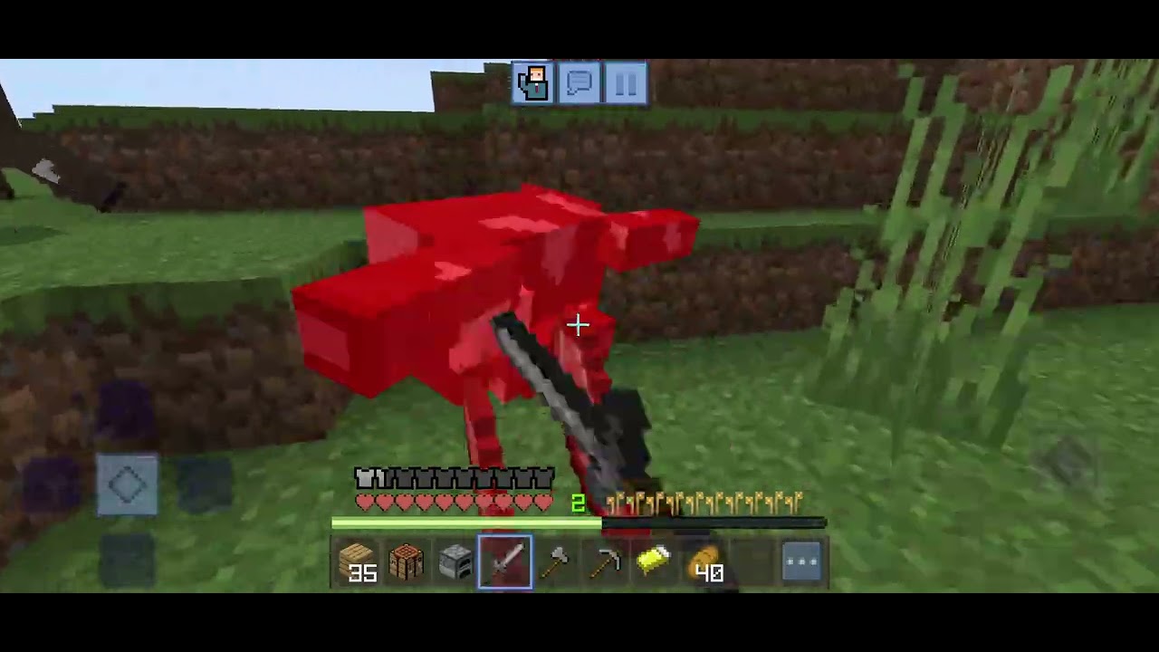 Minecraft seri 2