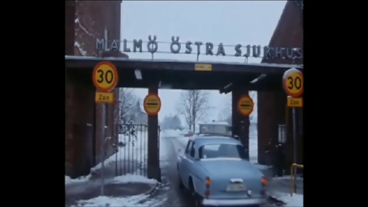 Sveriges värsta seriemördare (Sjukhusmorden)