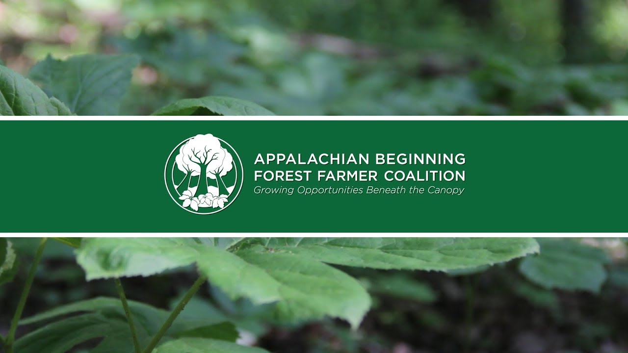 The Appalachian Beginning Forest Farmer Coalition