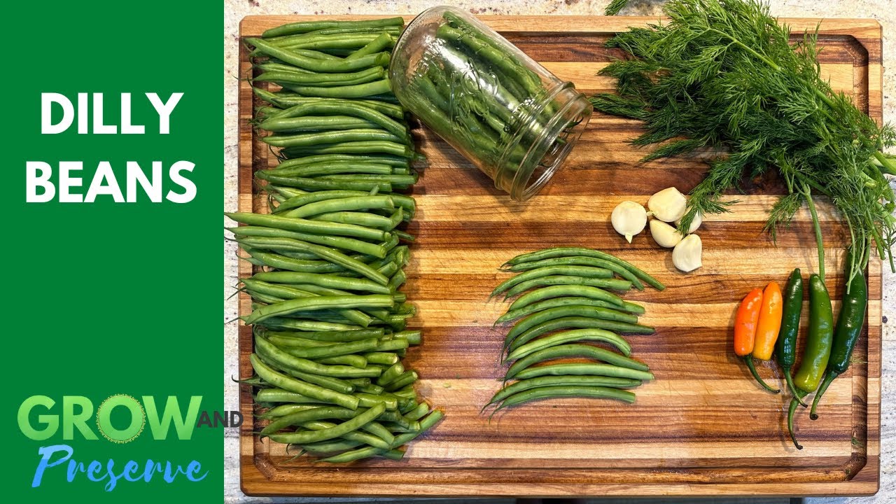 Фасоль с дилли || Рецепт, который я любил в детстве