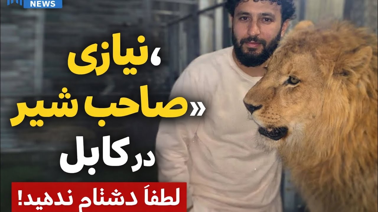 شکایت نیازی«صاحب شیر» از مردم؛ لطفا” دشنام ندهید.