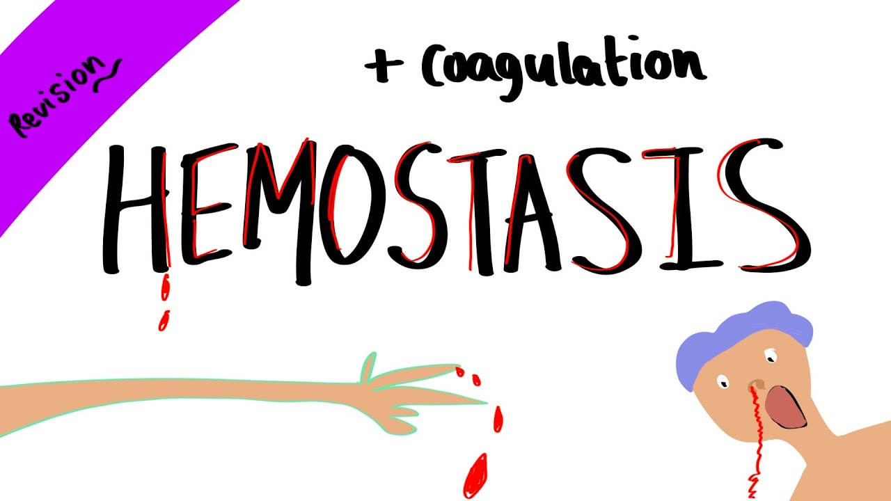 Hemostasis + coagulation cascade - How your body stops bleeding. -- ( revision)