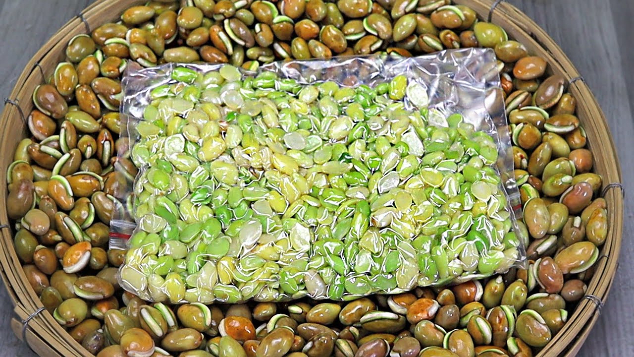 Simer Bichi | খুবই সহজে সারা বছরের জন্য শিমের বিচি সংরক্ষনের পদ্ধতি!