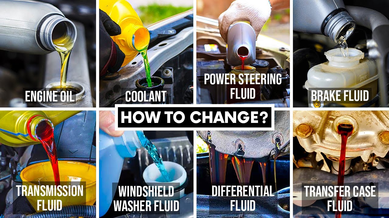 How To Change EVERY FLUID In Your Car or Truck (ULTIMATE GUIDE)