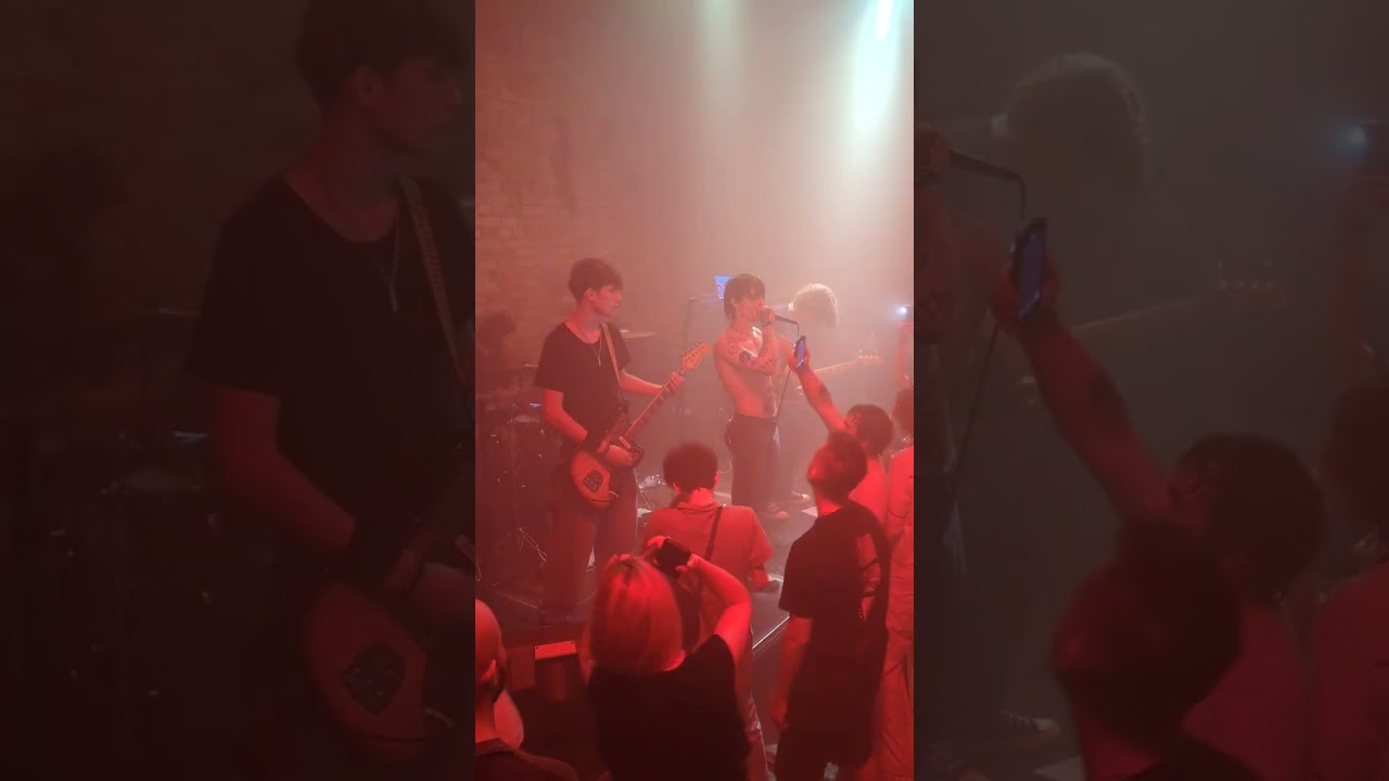 sexnesc - Перлина live, Київ, ОтжеФест 30.08.25
