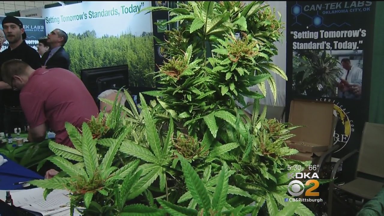Medical Marijuana Conference Comes To Pittsburgh