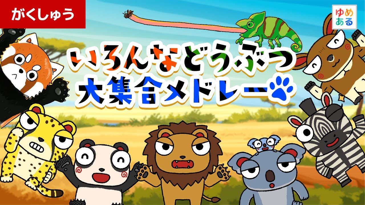 いろんなどうぶつ大集合メドレー🦁🐨🐼