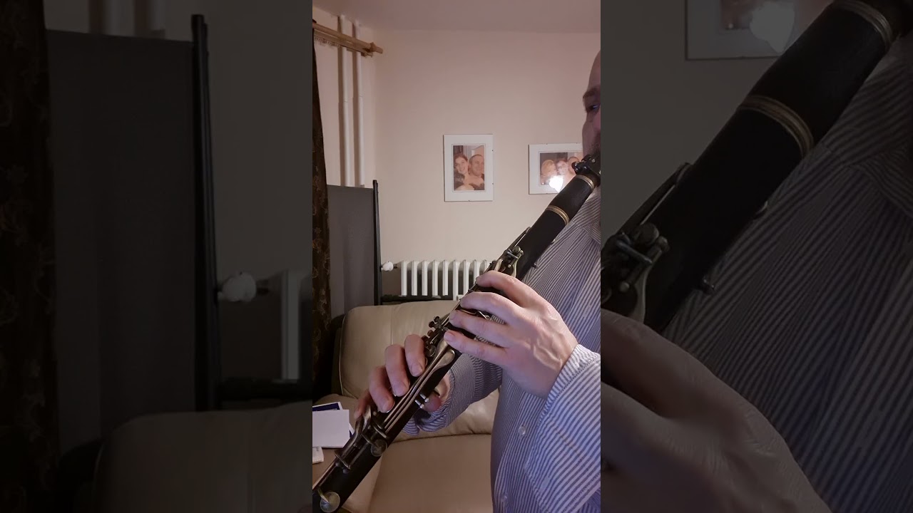 Adagio from Moon Light Sonata  L. v Beethoven solo Klarinette 2026