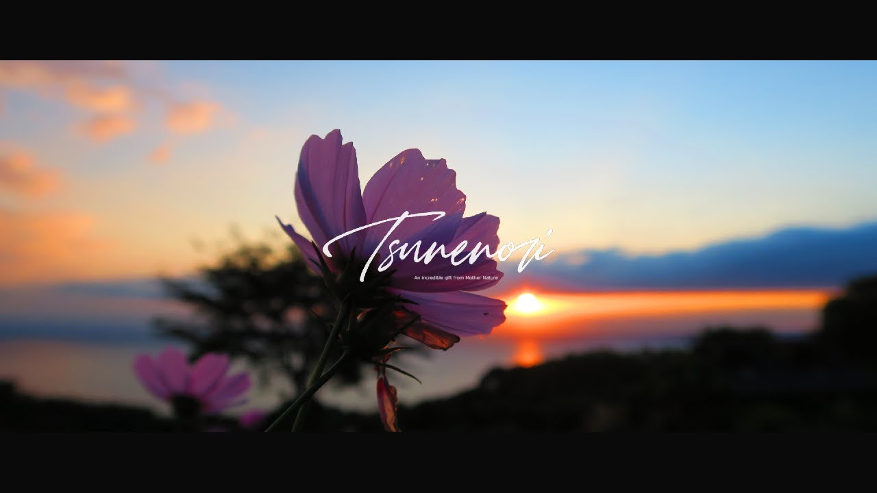 Tsunenori - Another Perfect Day