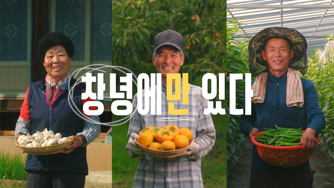창녕군 대표 브랜드 ✨우포따오기✨👍👍