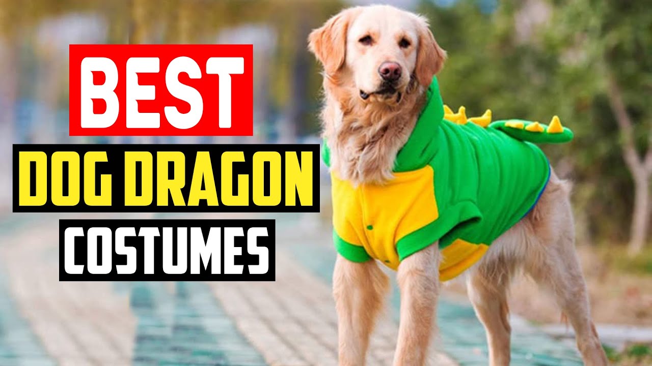 Top 5 Best Dog Dragon Costumes Review in 2025
