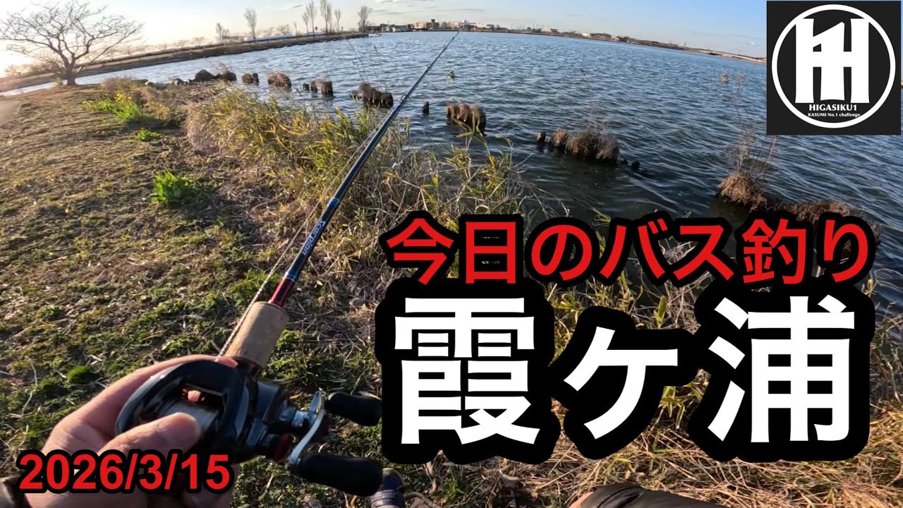 バス釣り霞ヶ浦！与田浦釣行2026年3月15日