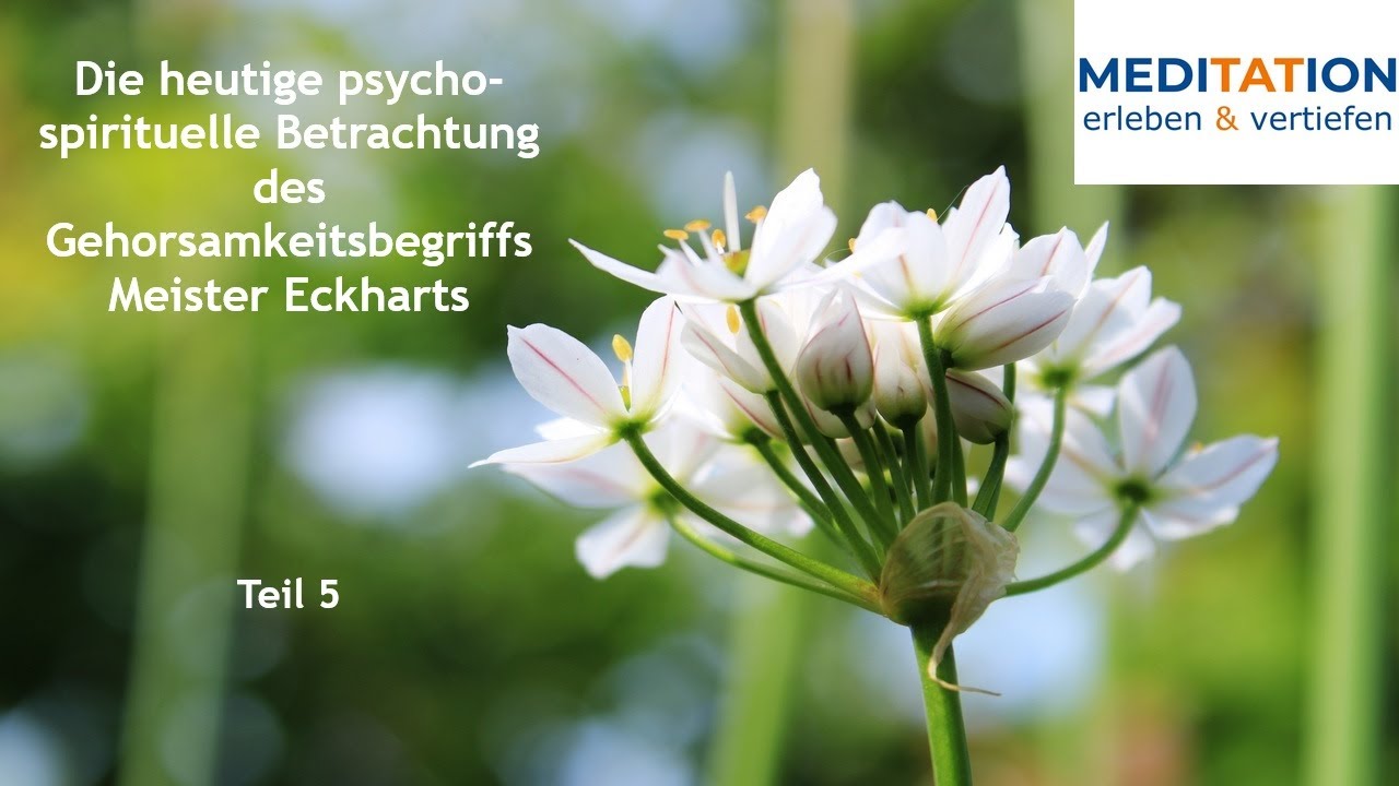 Meister Eckhart erleben 55 – Göttliches vs Individuelles (psycho-spirit. Betrachtung ME-Gehorsam,T5)