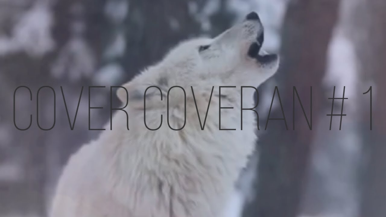 EX - CALLALILY | COVER COVERAN