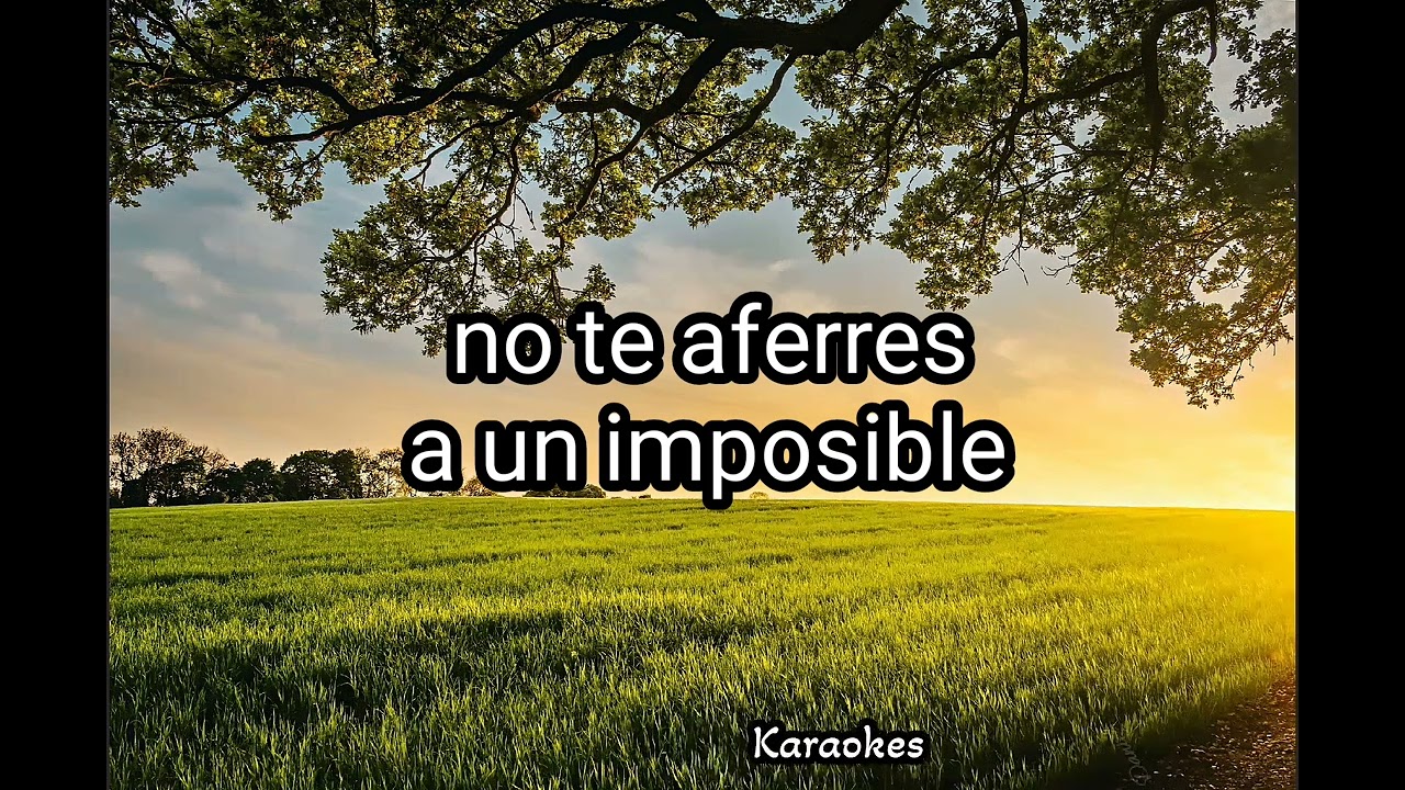Así fué-karaoke-versión Dama