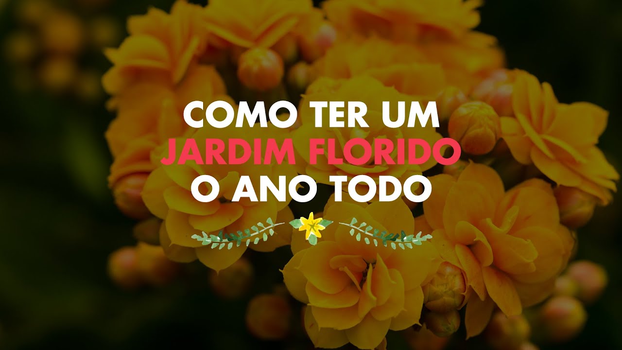 Como ter um jardim florido o ano todo