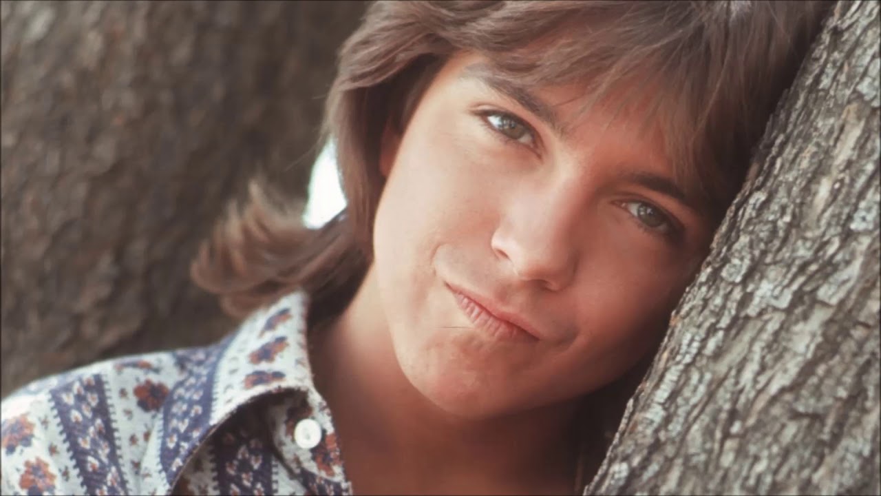 DAVID CASSIDY   HOW CAN I BE SURE