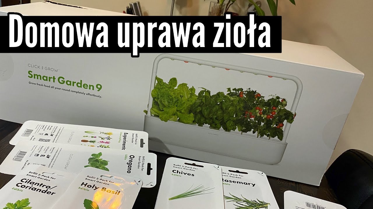 Domowa uprawa zioła