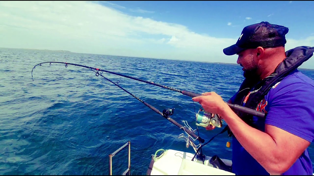 Westernport Trevelly Fishing