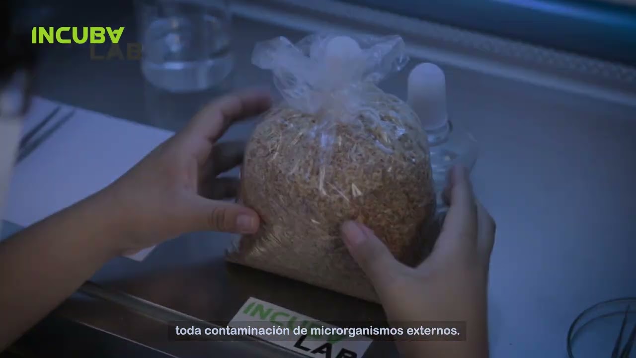 Incubalab - C&aacute;mara de Flujo Laminar