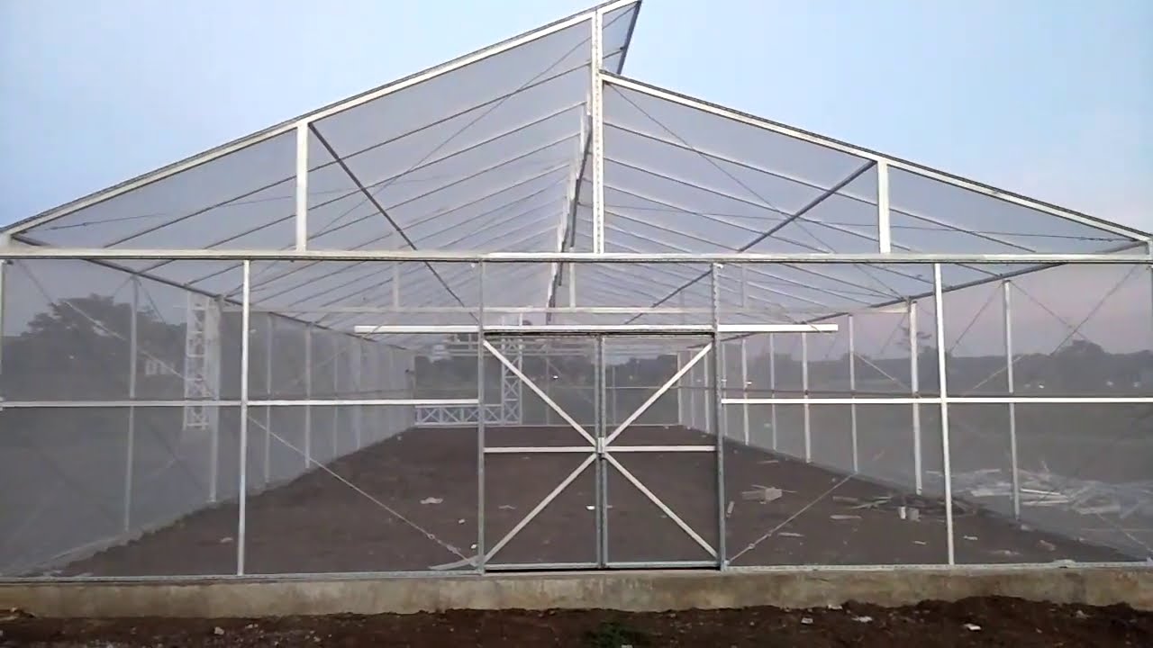 GREEN HOUSE HIDROPONIK SUDAH JADI.