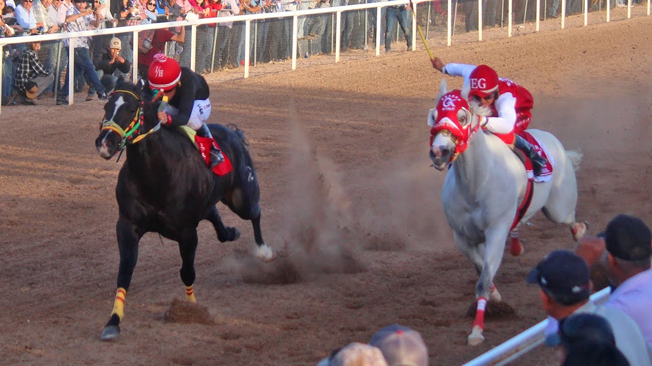 Carreras de Caballos Santa Ana  01 Febrero 2025