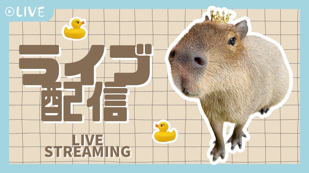 【ライブ配信】Capyvillageからライブ配信‼️