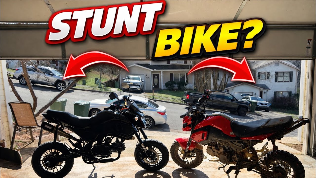 Are Grom Clones Worth Stunting?