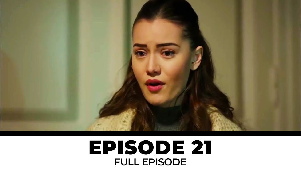 Episode 21 | Lovebird
