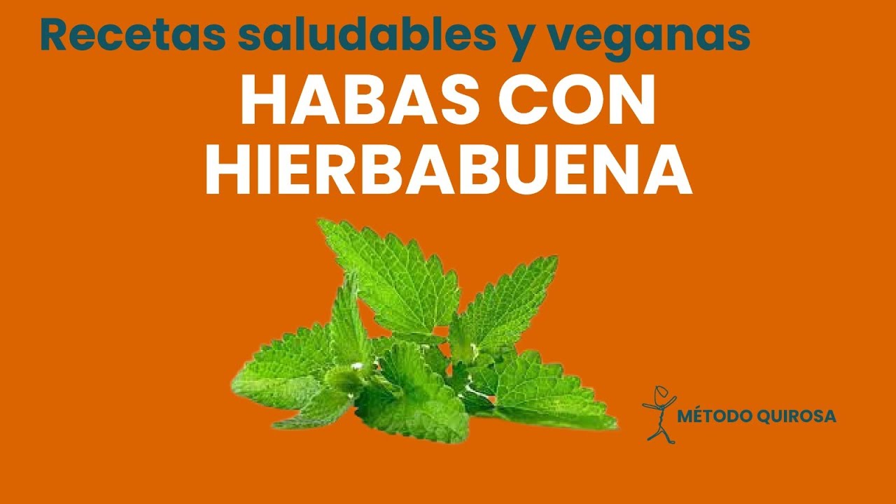 Receta de habas con hierbabuena