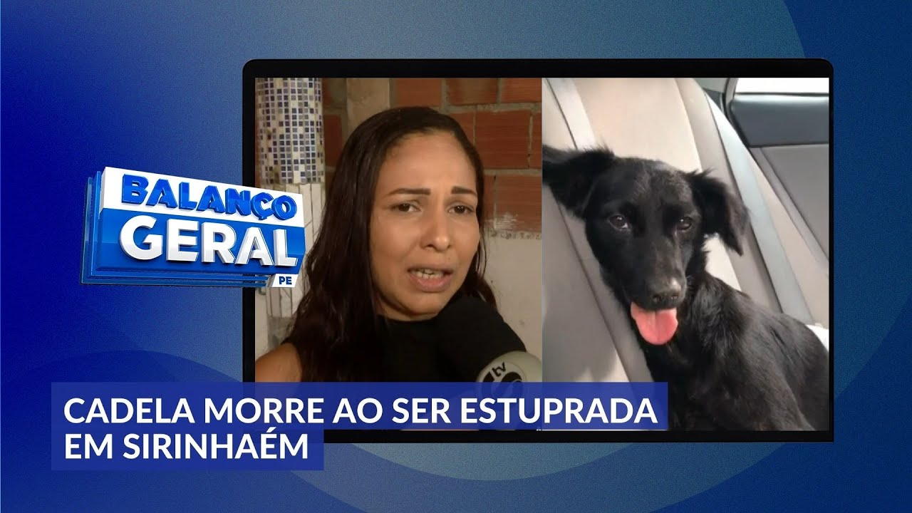 Cadela morre ao ser estuprada em Sirinhaém, litoral Sul do Estado