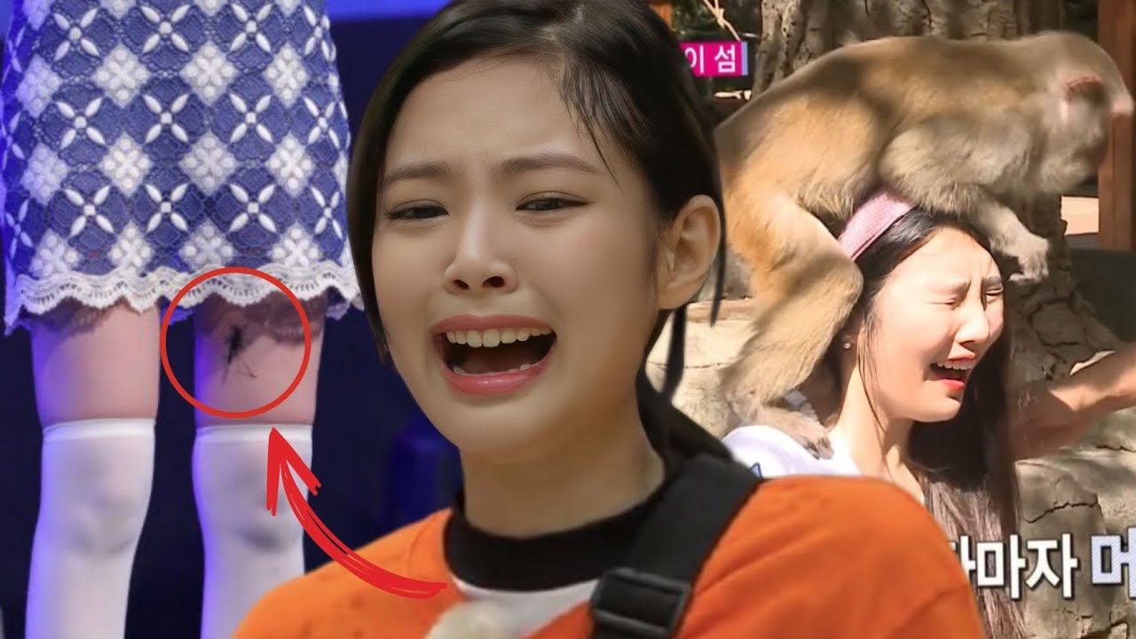 Idols Que Foram Atacados Por Animais No KPOP