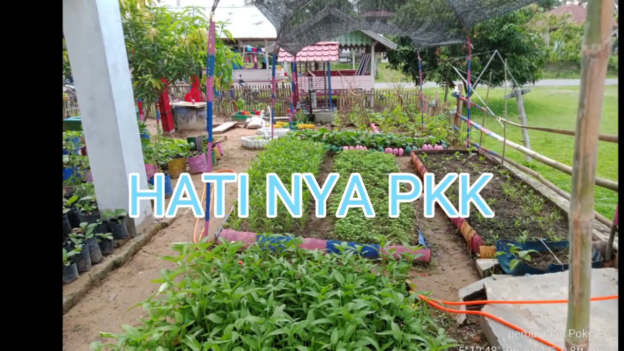 Pemanfaatan lahan pekarangan/Hatinya PKK (halaman Asri teratur indah dan nyaman)