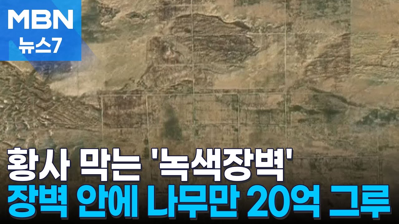 타클라마칸 사막에 거대한 '녹색장벽' 건설&hellip;황사 줄어들까? [MBN 뉴스7]