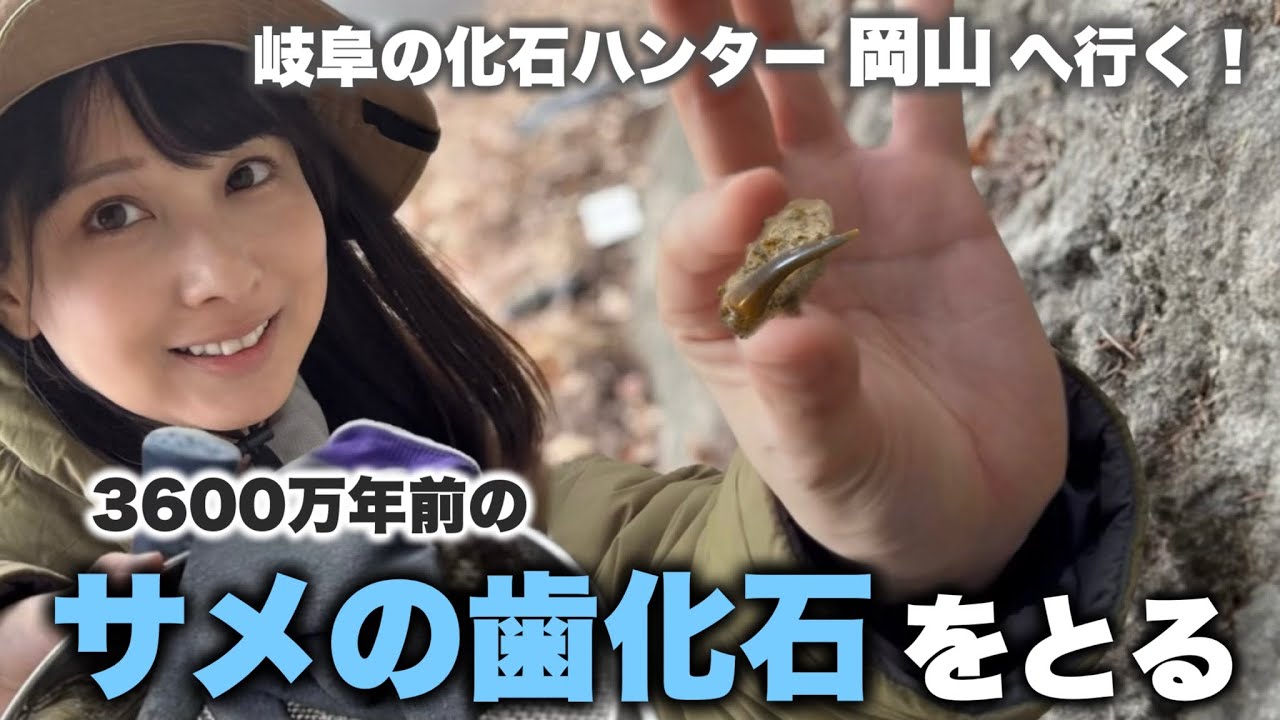 岡山県で化石採集！3600万年前のサメの歯化石をとる！