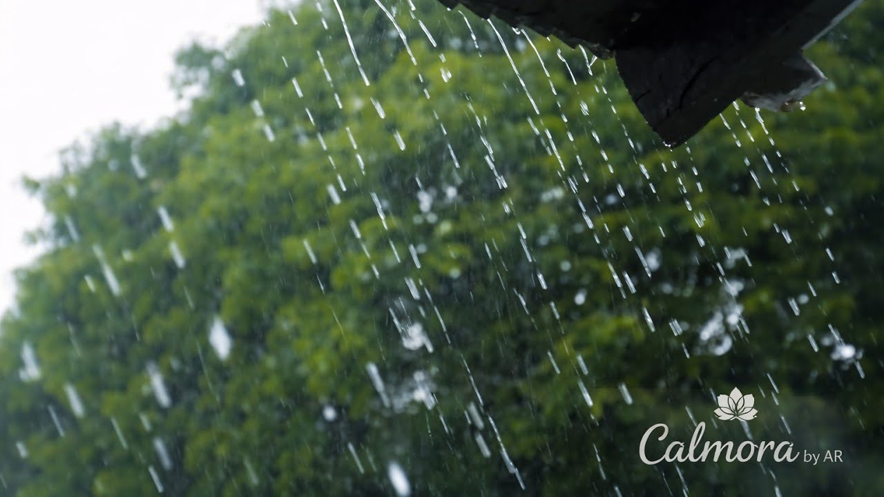Rain sounds for a peaceful mind | Calmora by AR