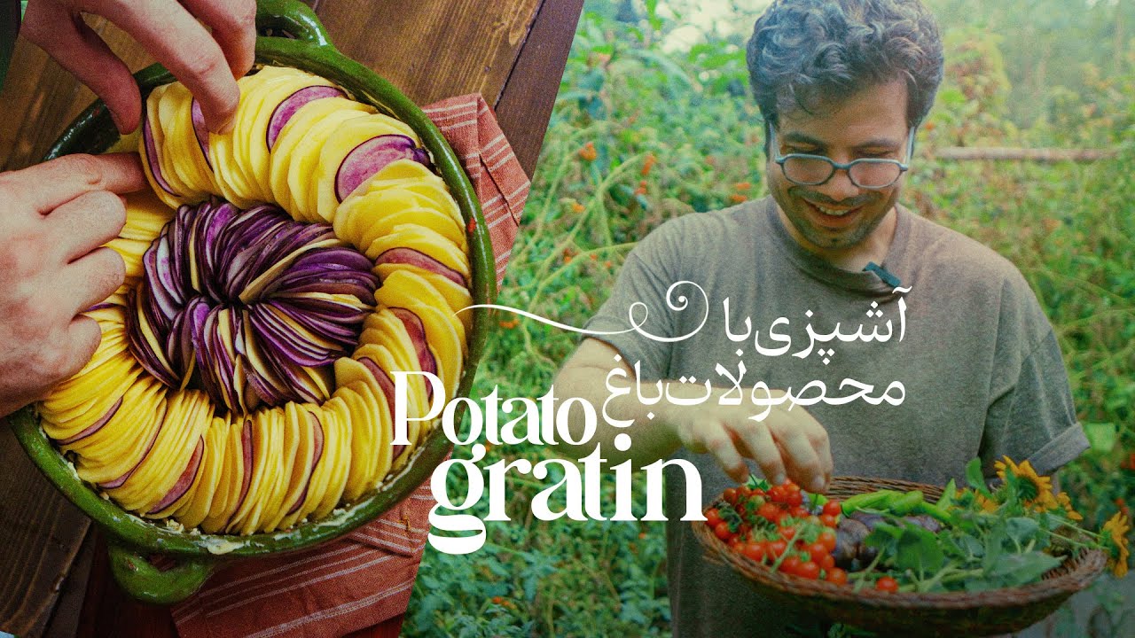 بالاخره وقت برداشت سیب‌زمینی بنفش رسید! + طرز تهیه گراتن سیب زمینی
