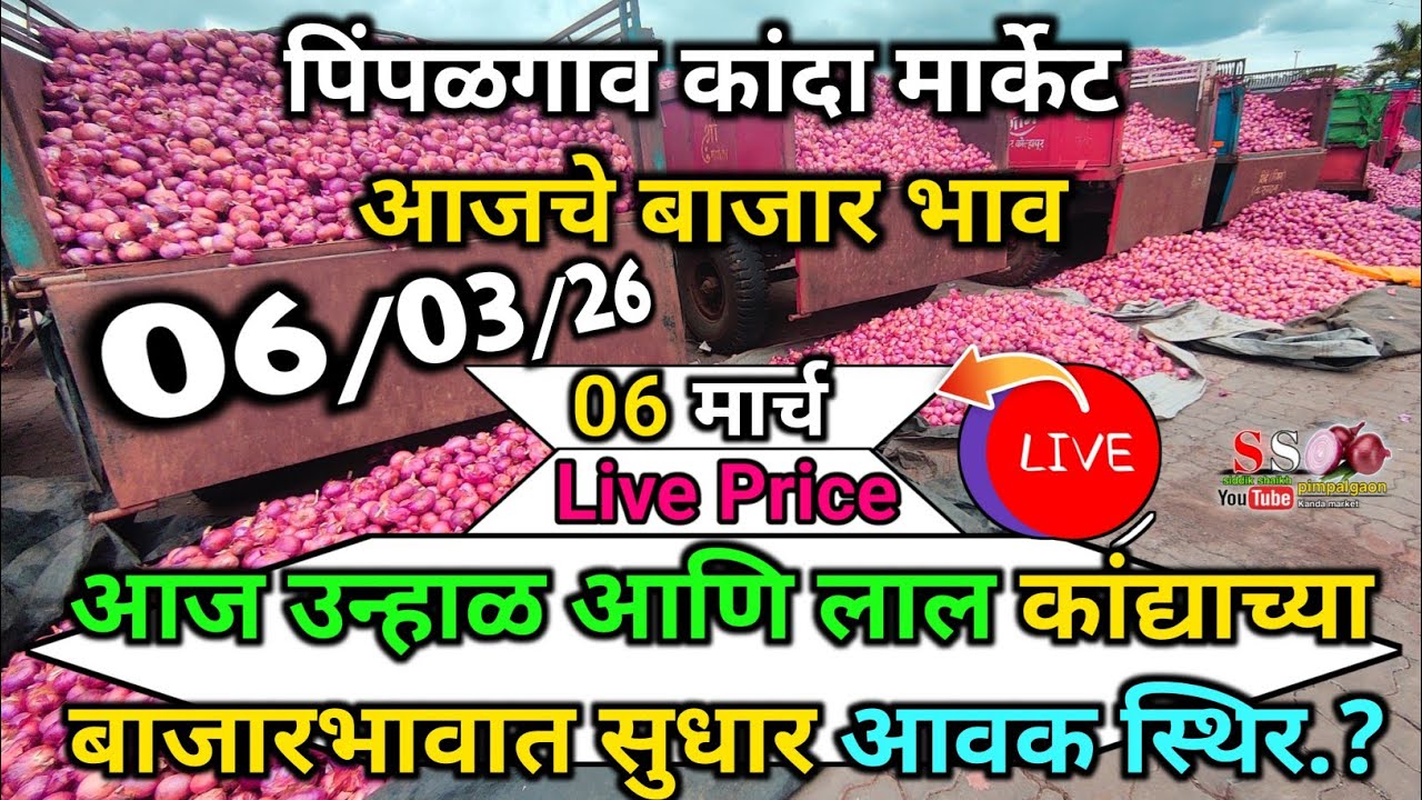 Pimpalgaon Onion Market Price Today:Latest Rates And Insights 06 march 2025