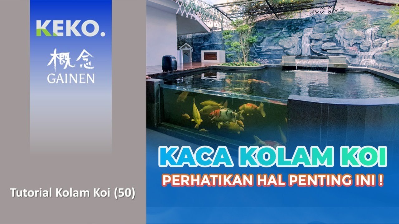 KACA KOLAM KOI | Hal Yang Harus Diperhatikan | Tutorial Kolam Koi (50)