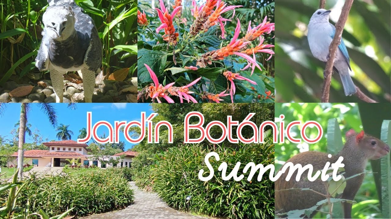 4K SUMMIT BOTANICAL GARDEN 2026 🚶‍♂️🎥 PASEO TRANQUILO por el JARDÍN BOTÁNICO SUMMIT 2026 🎥🦋