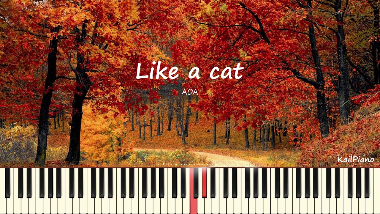 AOA - Like a Cat(사뿐사뿐)(Piano Cover, 피아노 커버)