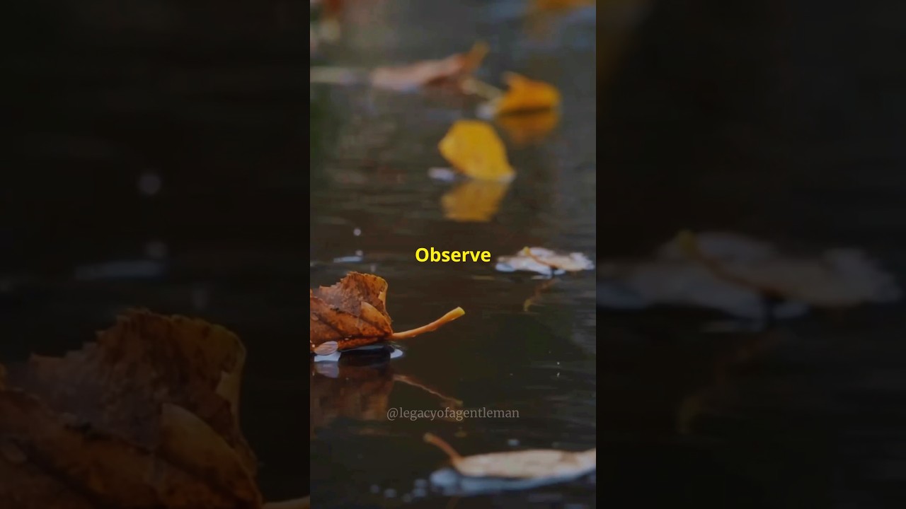 3 Steps To Improve Your Observation Skills #shorts